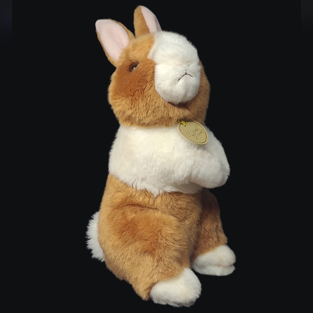 2020 MIYONI BY AURORA - DUTCH RABBIT